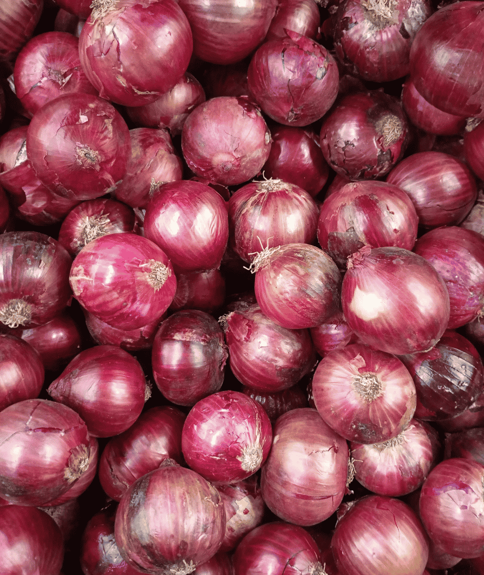 Indian_Onion_export