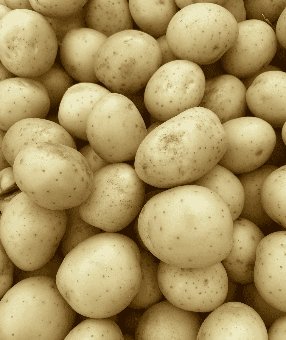 Indian_Potato_Export