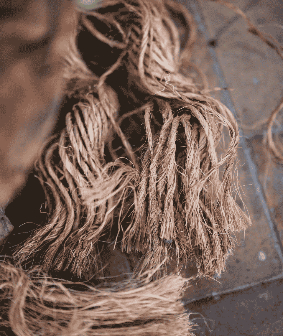 Raw_Jute