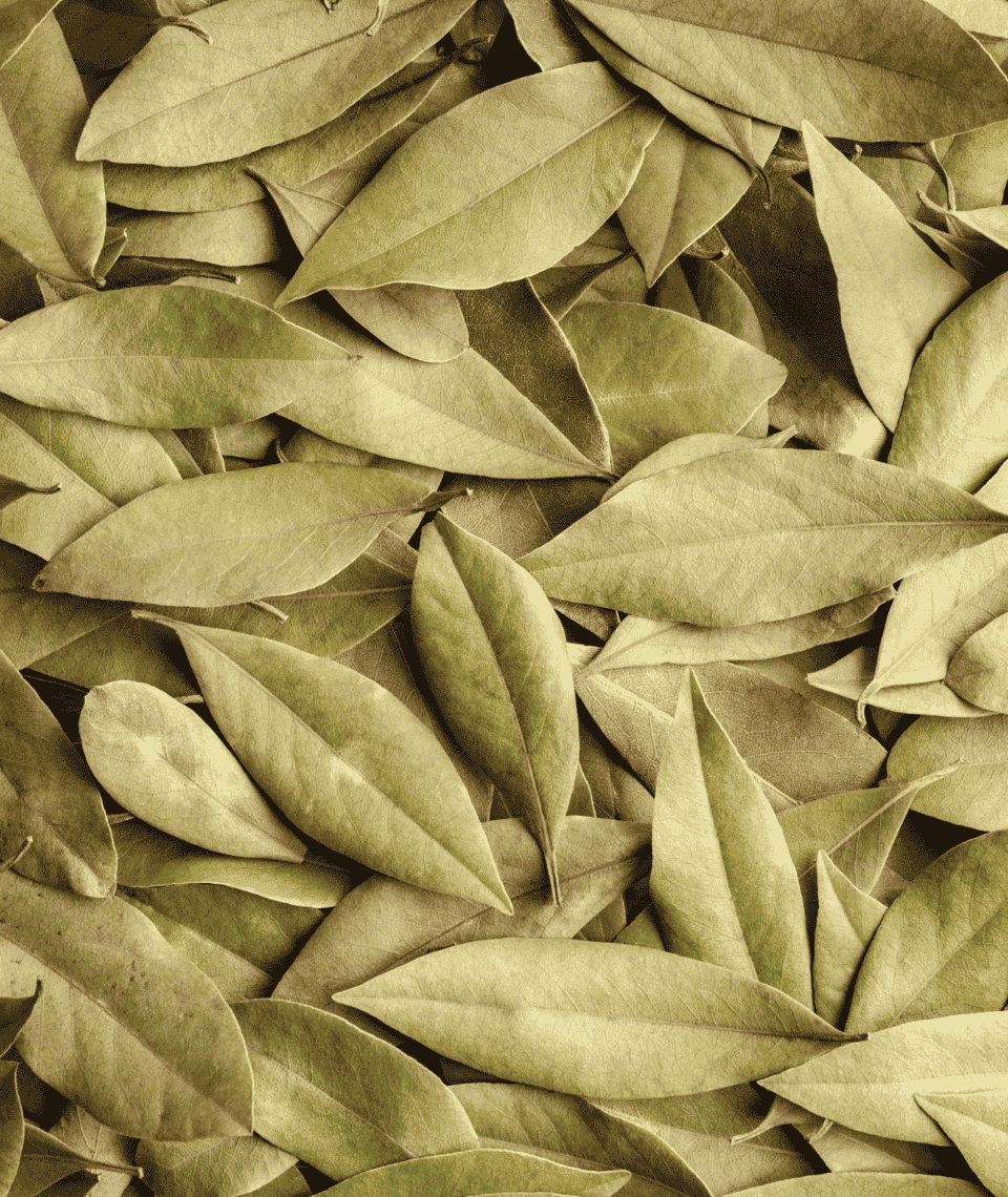 Whole Dried Bay Leaves
